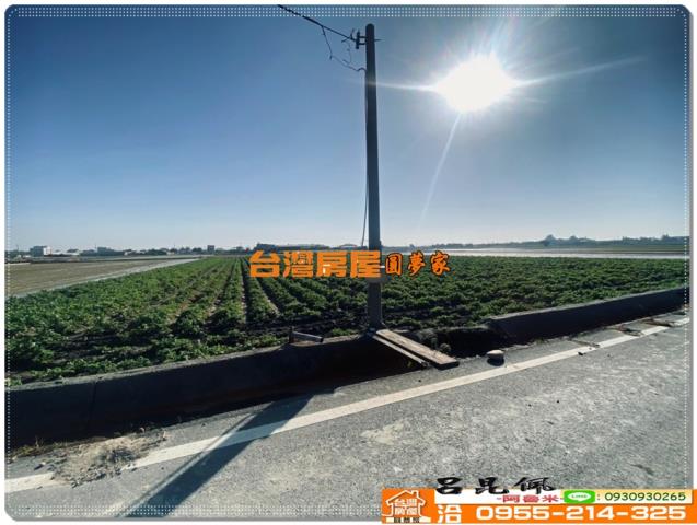 水林農地-2