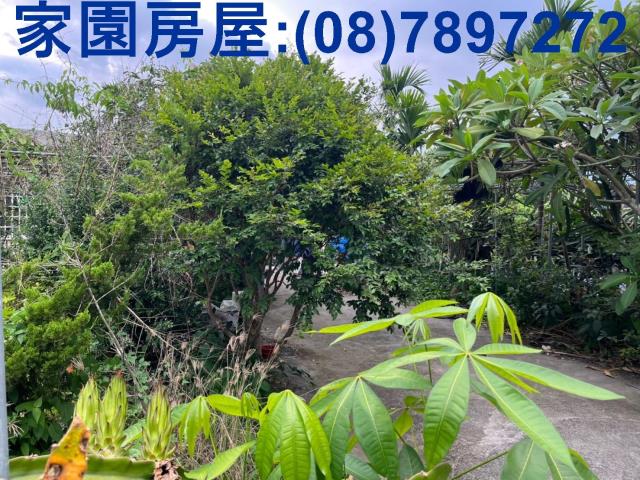 竹田農地-1