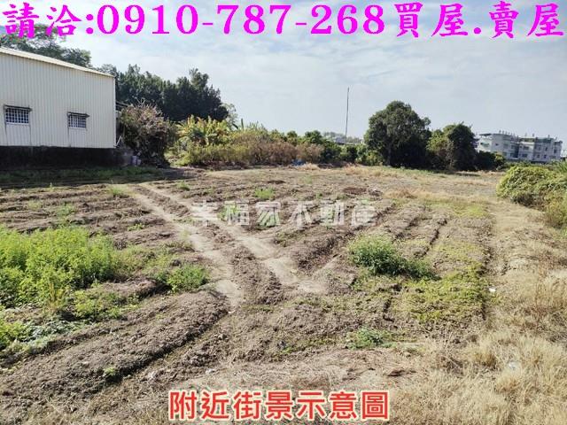 中埔農地-9