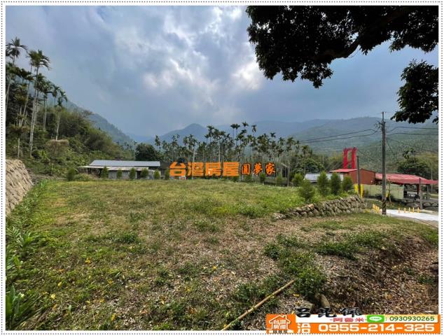 梅山農地-9