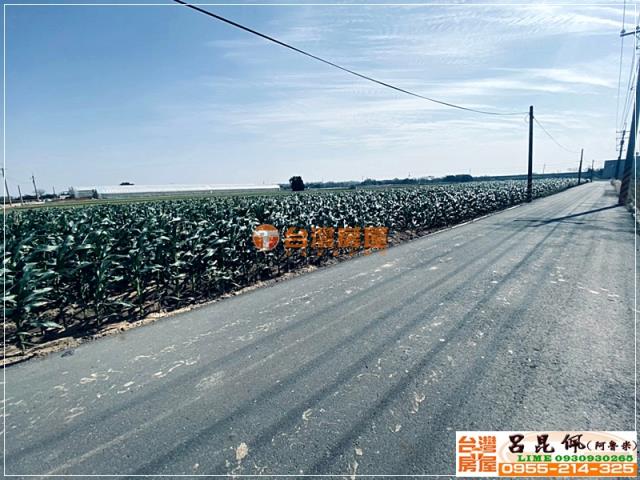 嘉義農地-1