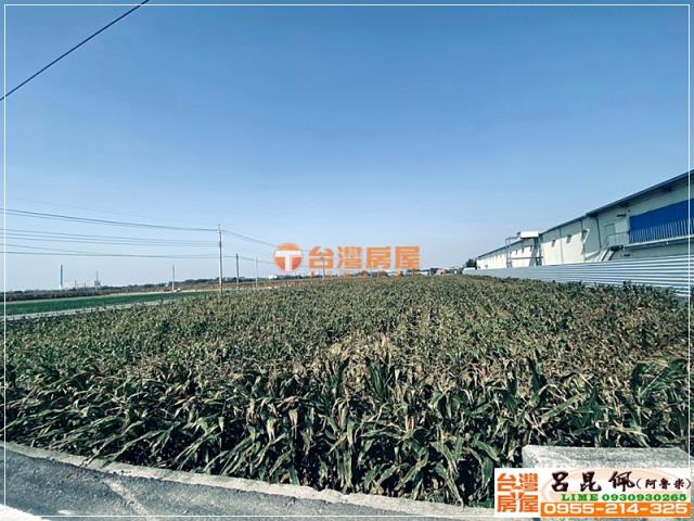 嘉義農地-4