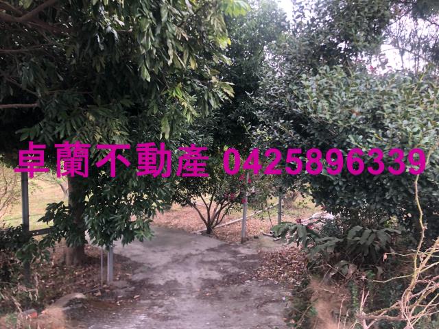 苗栗農地-2