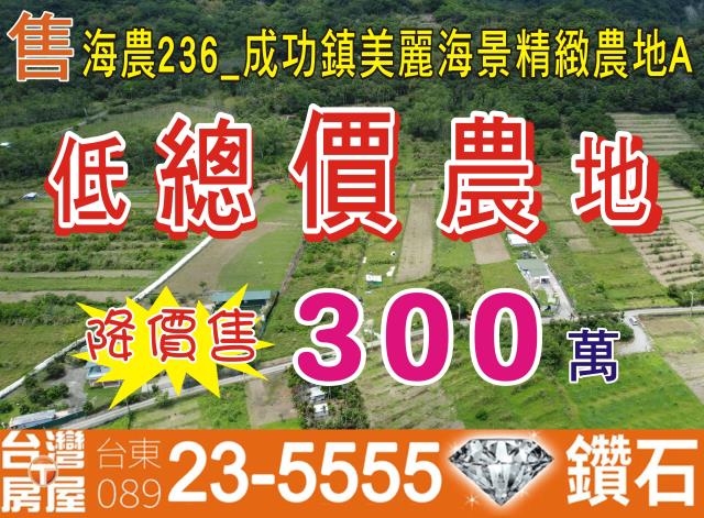 台東成功農地-0