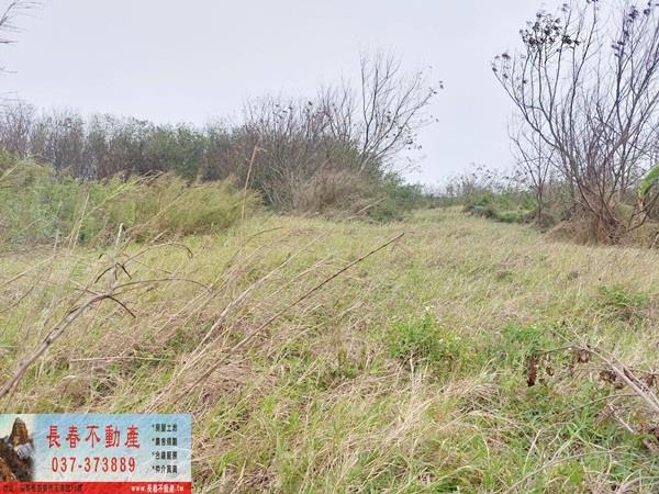 後龍農地-2