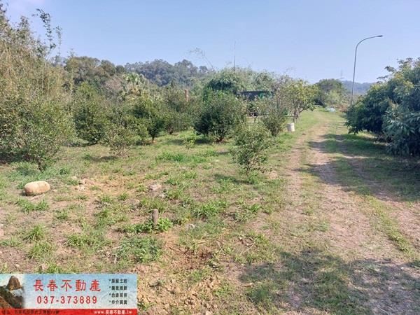 頭屋農地-2