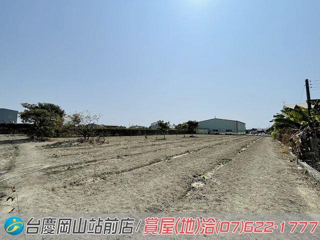 彌陀農地-5