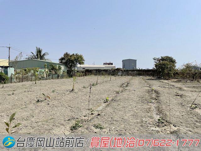 彌陀農地-6