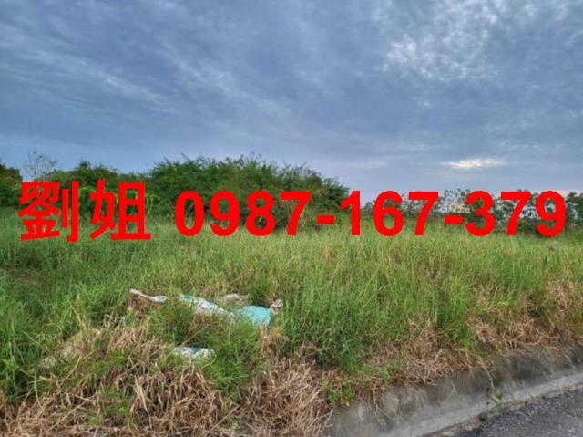 台南下營農地-0