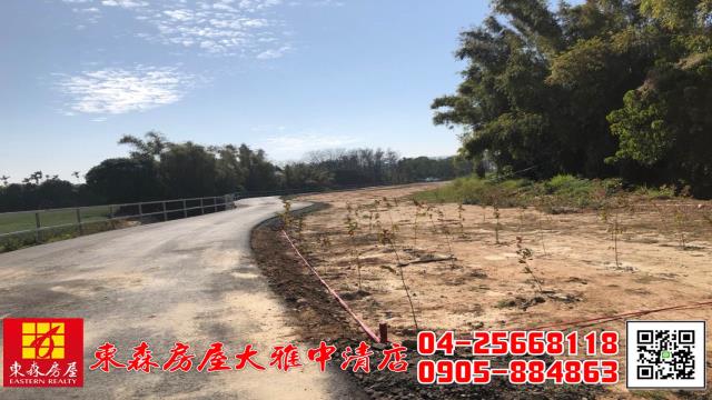 台中大雅農地-1