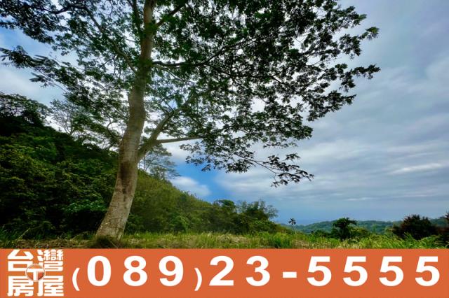 台東土地買賣