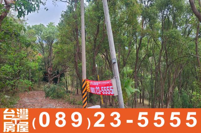 台東卑南農地-1