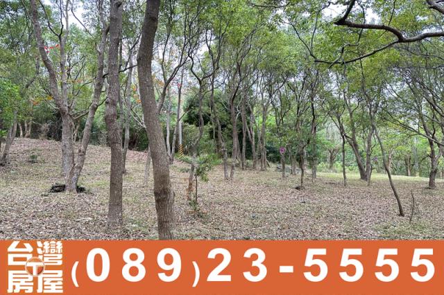台東卑南農地-4