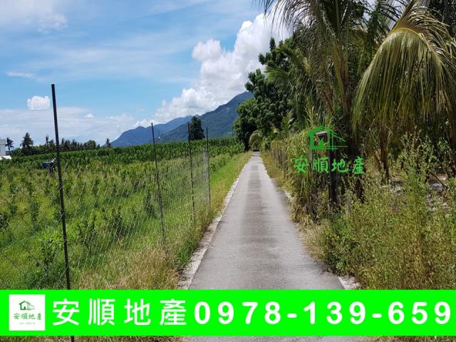 台東卑南農地-0