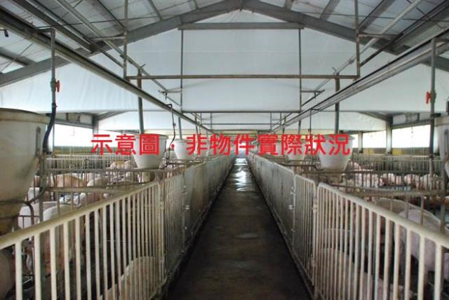 高雄阿蓮農地-0