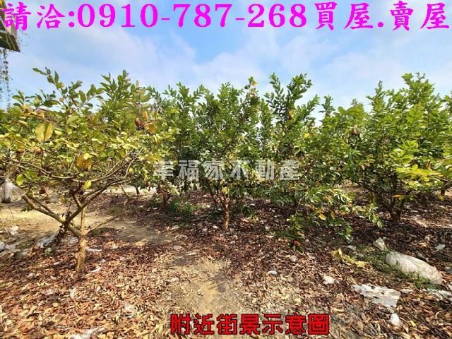 台南玉井農地-9