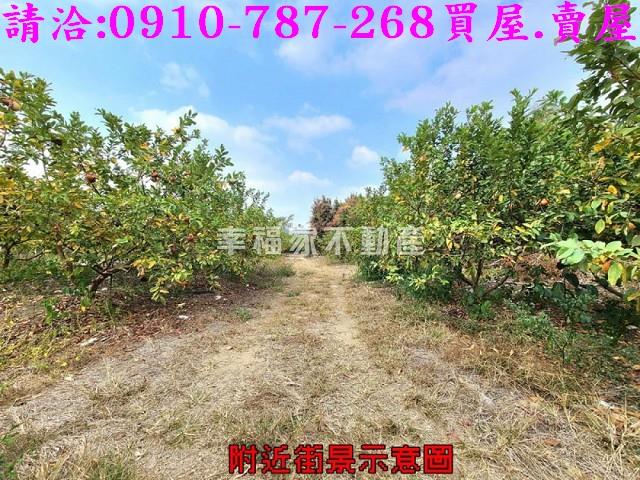 台南玉井農地-9
