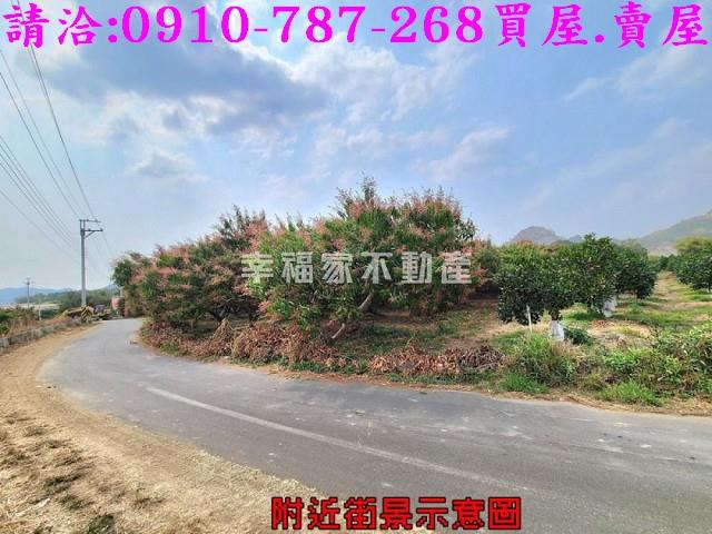 台南玉井農地-11