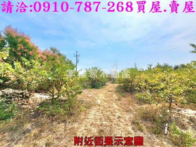 台南玉井農地-3