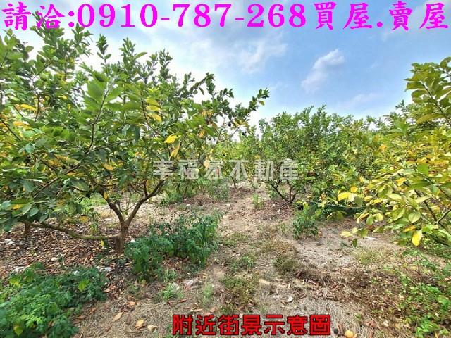 台南玉井農地-5
