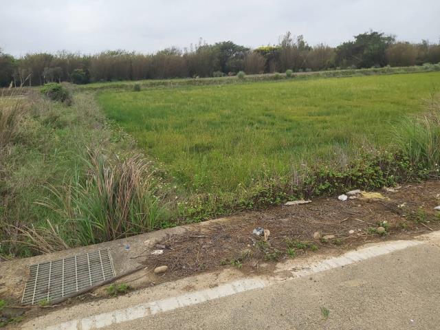 桃園觀音農地-2