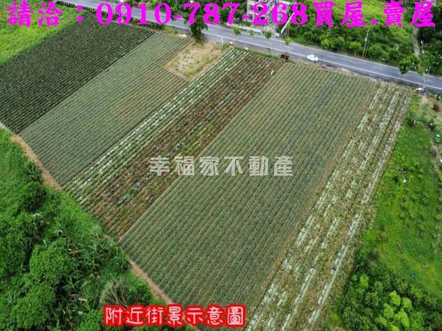 台南山上農地-1