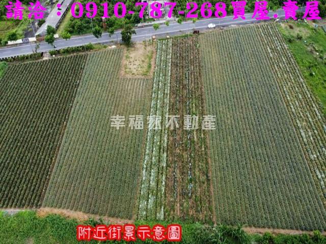 台南山上農地-3