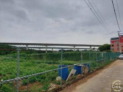 桃園農地-6