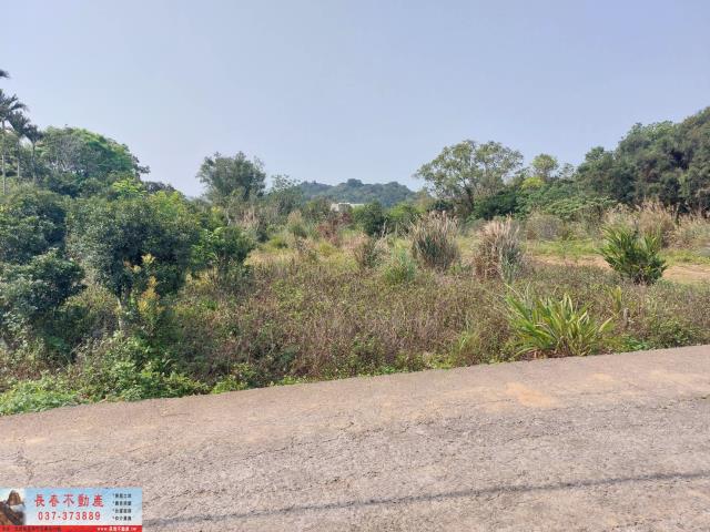 苗栗農地-2
