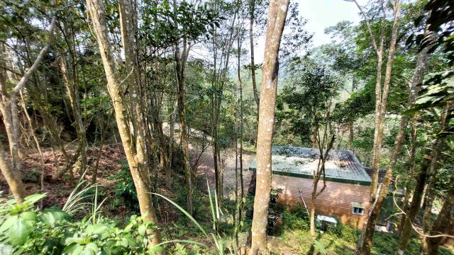 新竹北埔山坡地-11