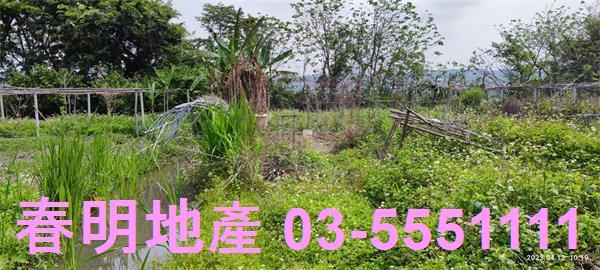 新竹農地-2