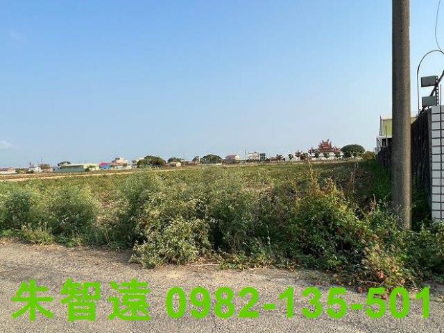 鹽水農地-8