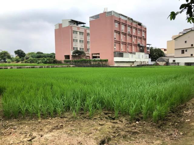 台中大雅農地-4