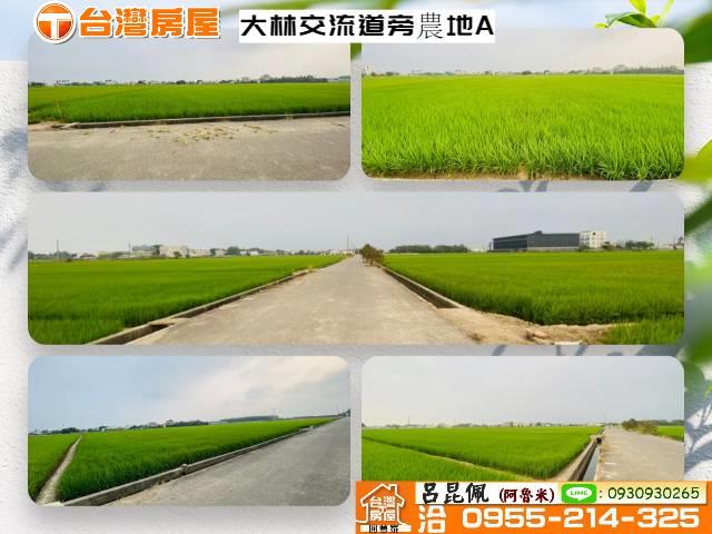 大林農地-0