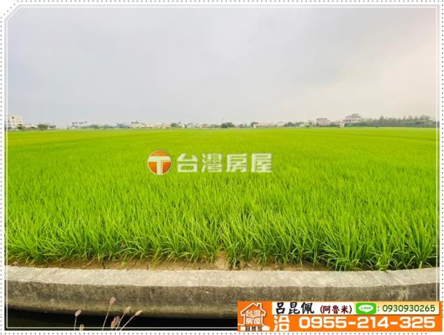 大林農地-1