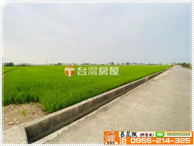 大林農地-3