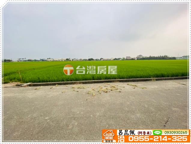 大林農地-4