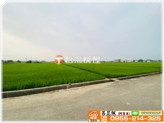 大林農地-6