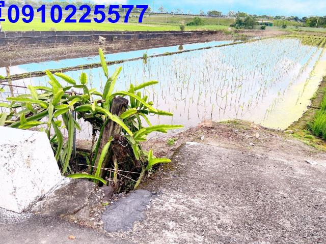 宜蘭礁溪農地-14