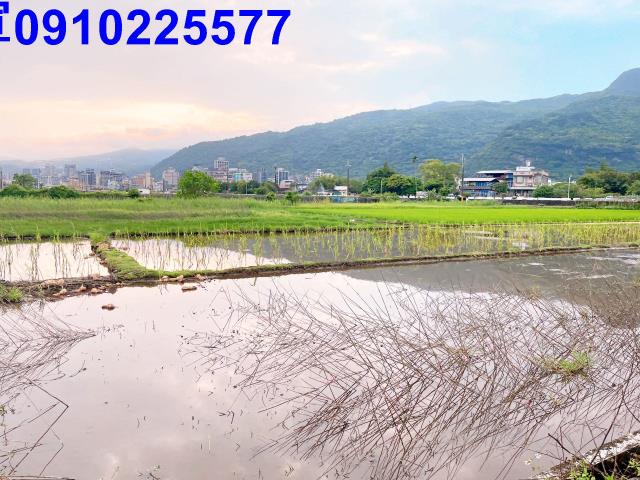 宜蘭礁溪農地-4