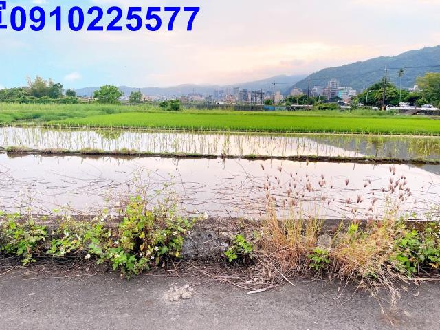 宜蘭礁溪農地-6