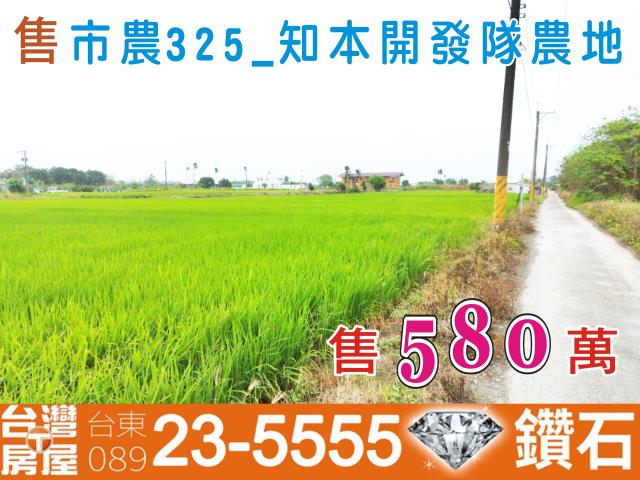 台東台東市農地-0