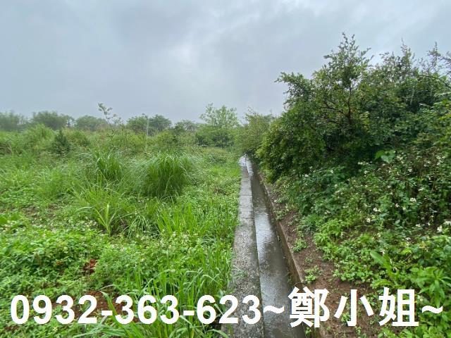 平鎮農地-0