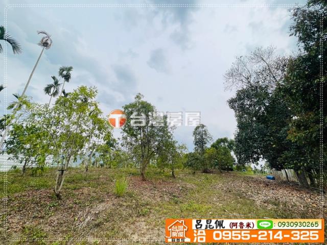 中埔農地-10