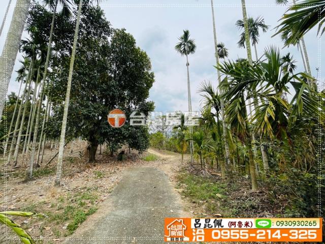 中埔農地-1