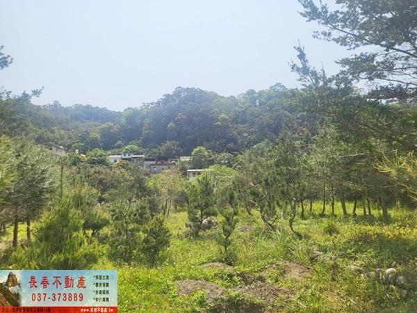 苗栗農地-0