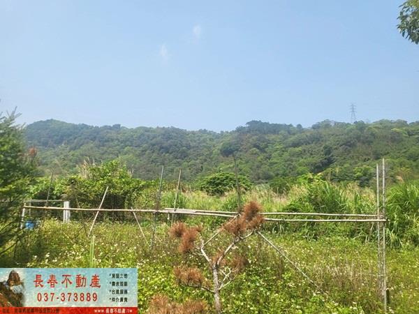 苗栗農地-2