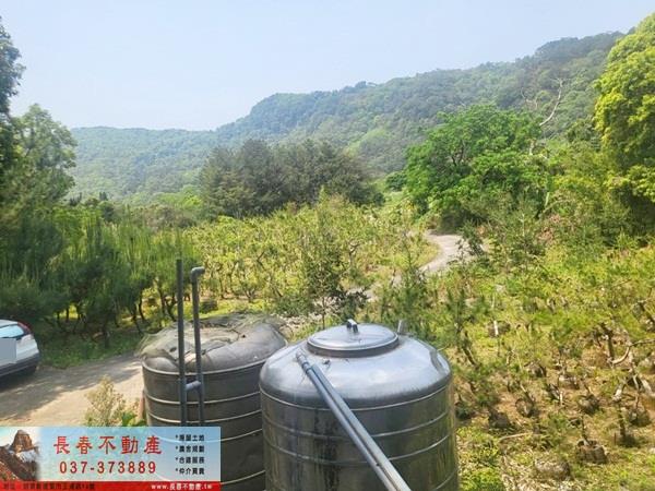 苗栗農地-4