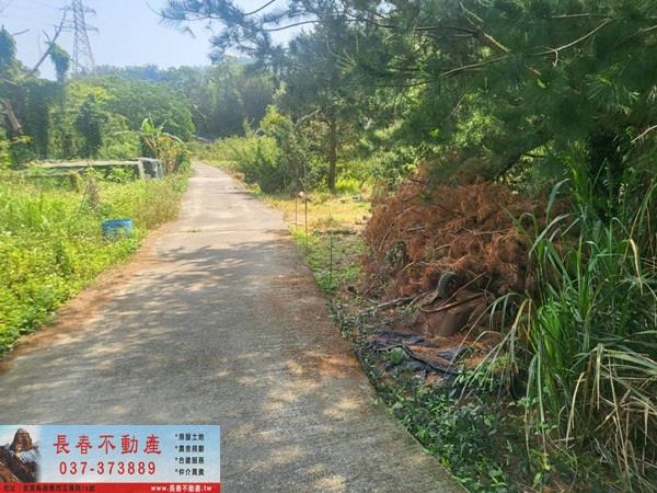 苗栗農地-5