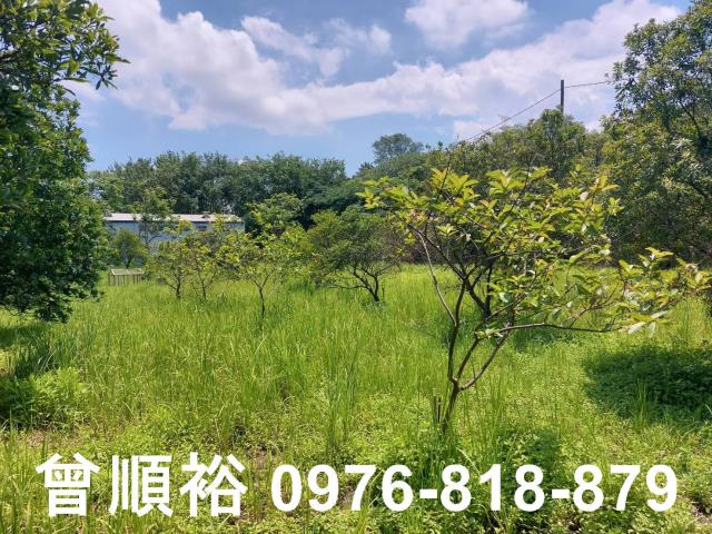 新竹農地-4